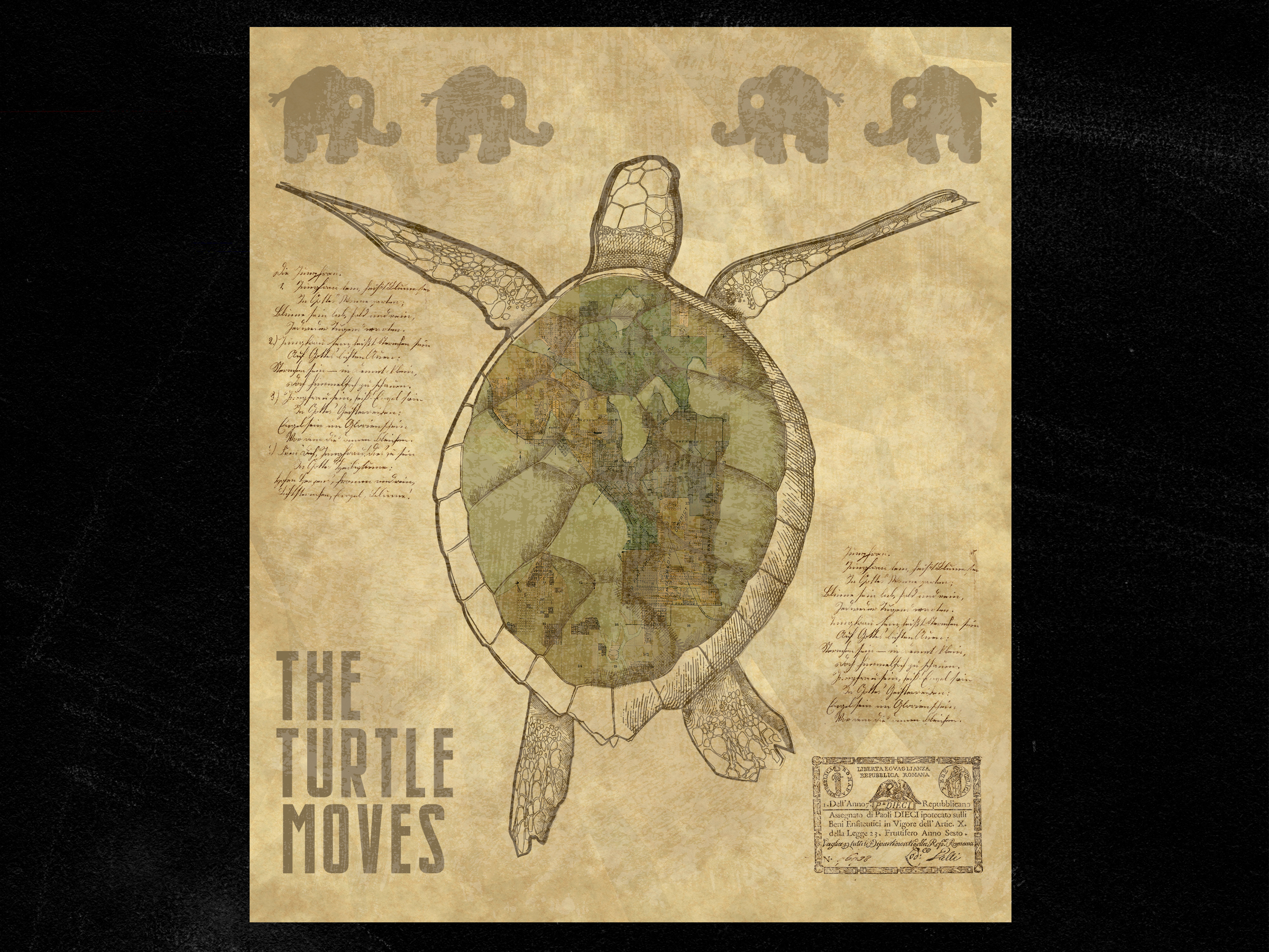 The Turtle moves…